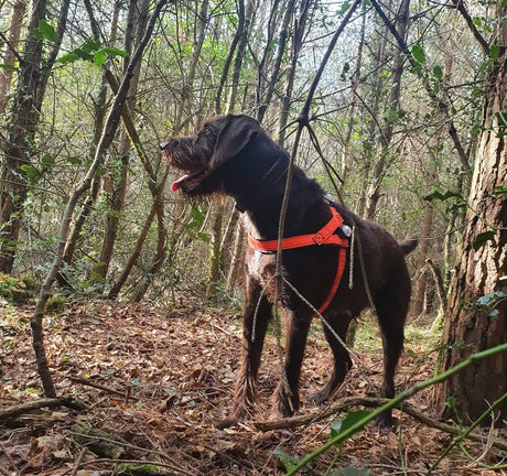 One big game of life-saving hide & seek!