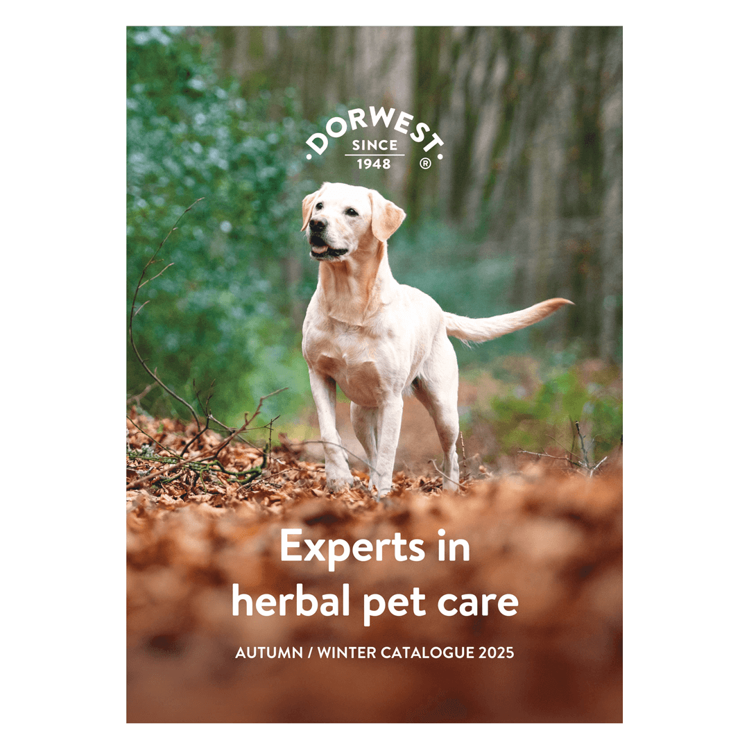 Autumn / Winter 2025 catalogue