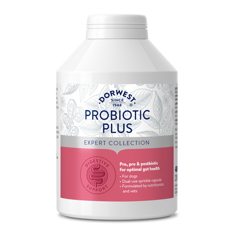 Probiotic Plus for Dogs