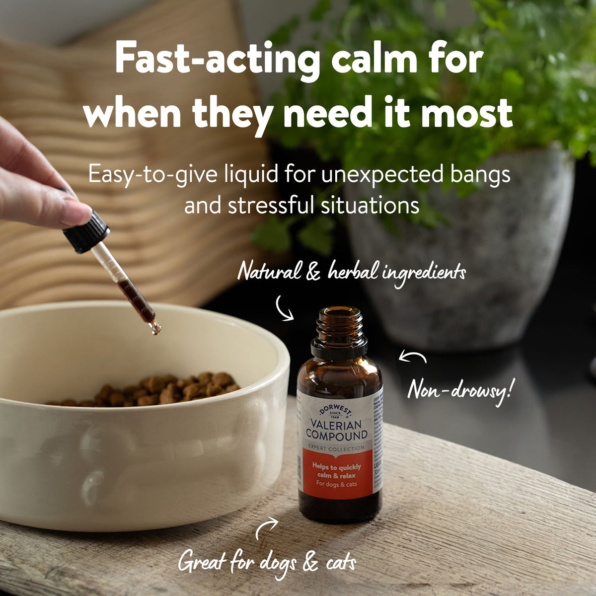 Valerian Compound For Dogs And Cats