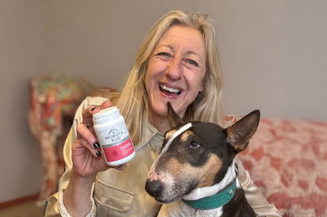 How probiotics for dogs help with digestive health and stool quality, by Anna Webb