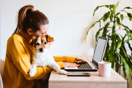 Why Office Dogs Make The Best Co-Workers, Even At Home! #BringYourDogToWorkDay