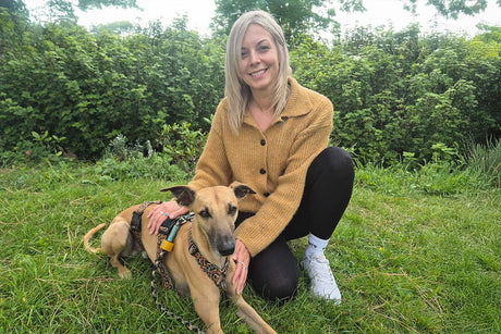 A nutritionist’s guide to dog gut health