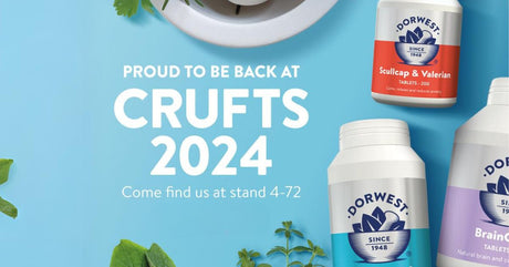 Meet the 2024 Crufts team!