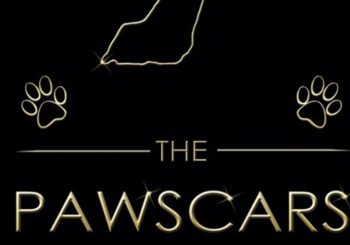 Pawscars 'Exhibitor of the Year' Nominees 2020