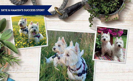 Skye & Hamish's Success Story