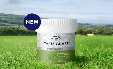 Dorwest launches new Tasty Grass® snack