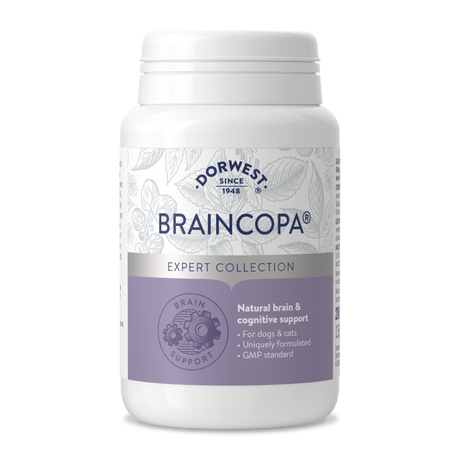 BrainCopa® Tablets For Dogs & Cats