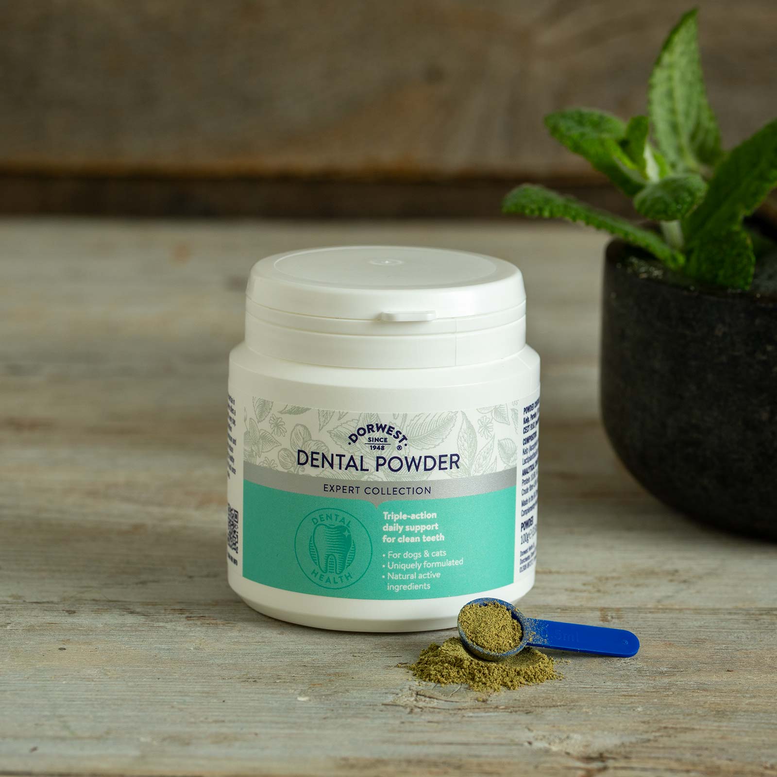 Dental Powder for Dogs & Cats | Dog Seaweed Powder | Dorwest Herbs
