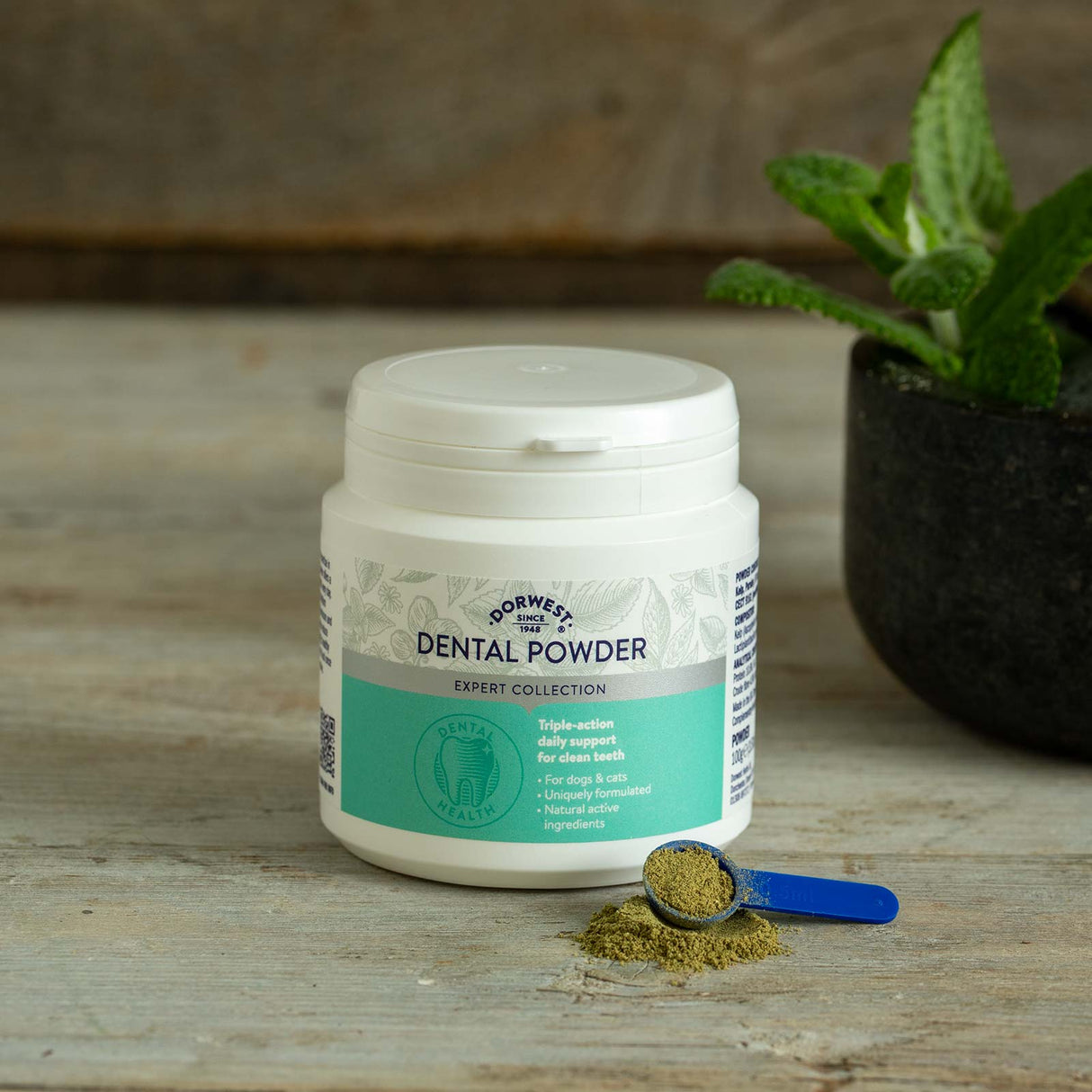 Dental powder for dogs with spoon