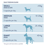 Probiotic Plus for Dogs