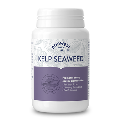 Kelp Seaweed Tablets For Dogs And Cats