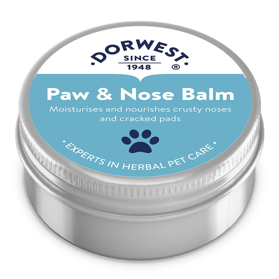 Paw & Nose Balm - 50ml