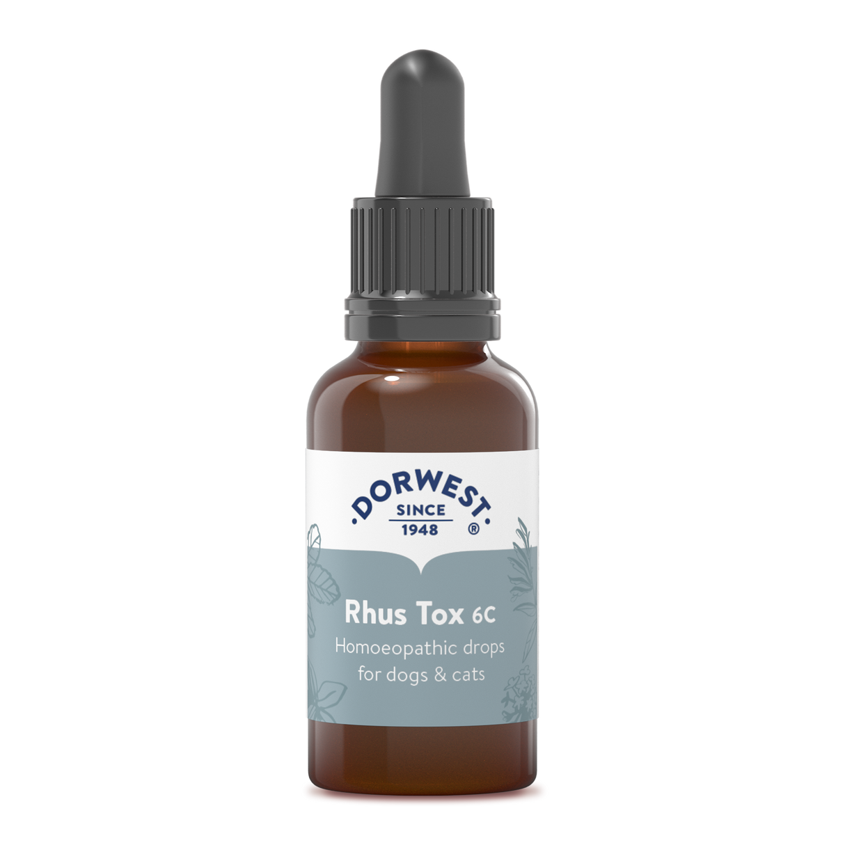 Rhus Tox 6C - 15ml Liquid