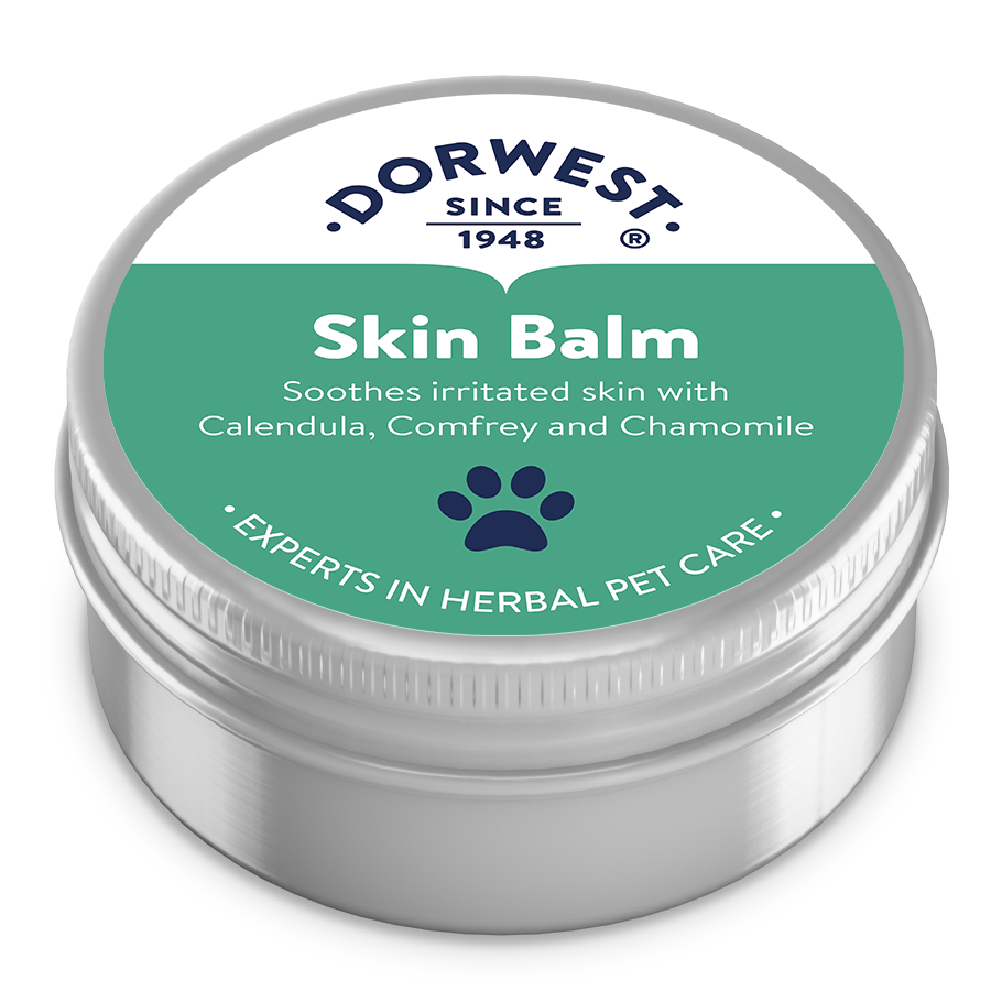 Skin Balm - 50ml