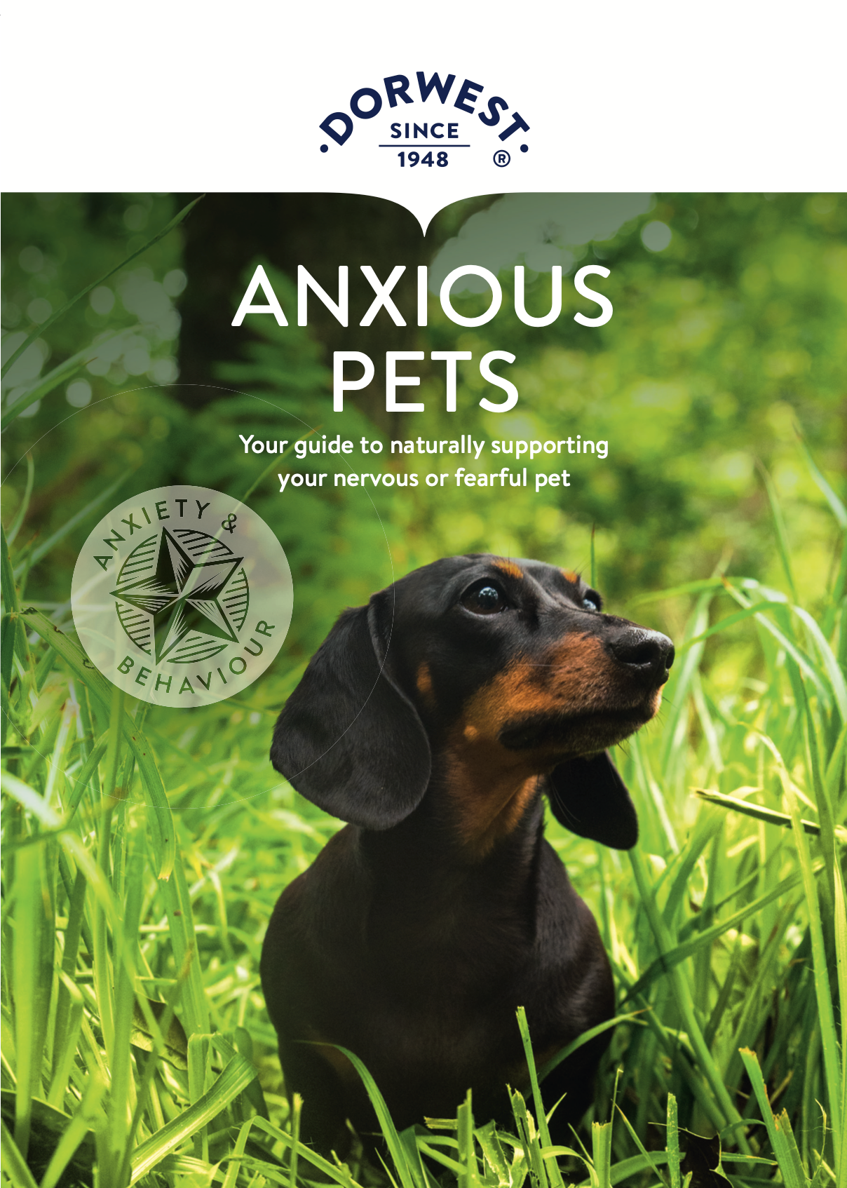 Anxious Pets Leaflet