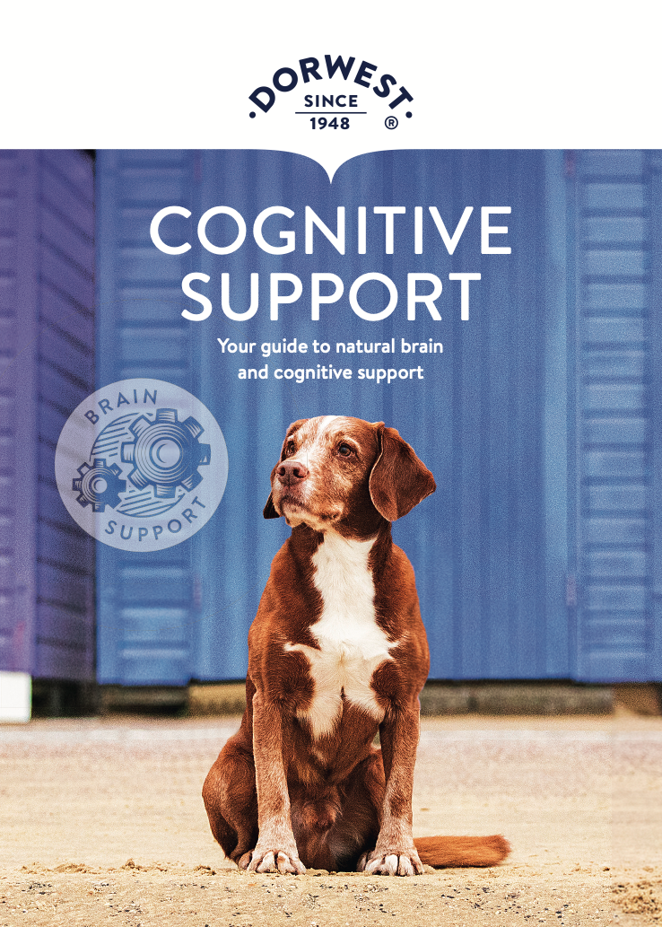 Cognitive Leaflet