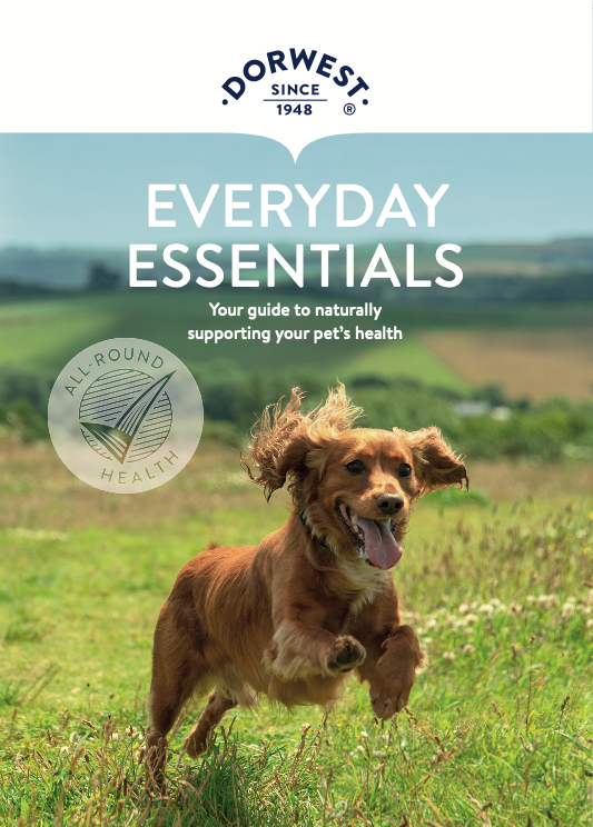 Everyday Essentials Leaflet