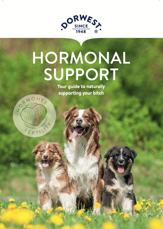 Hormonal Support Leaflet