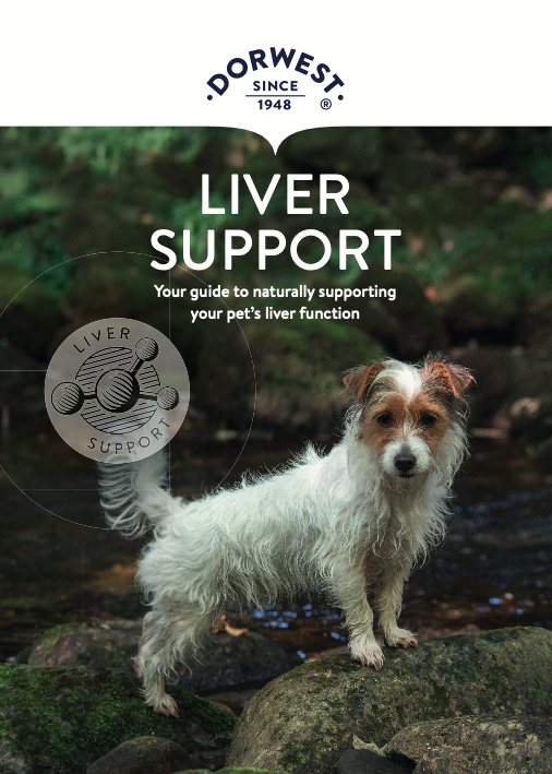 ‍Liver Support Leaflet (100% off)