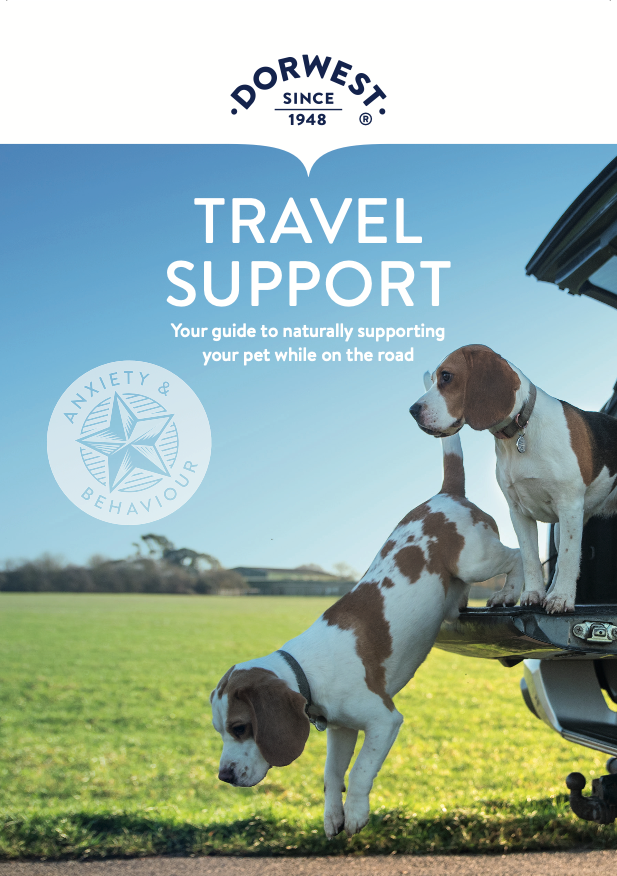 Travel Support Leaflet – Dorwest