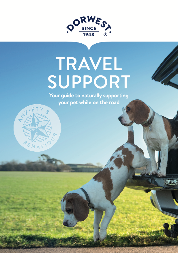 Travel Support Leaflet