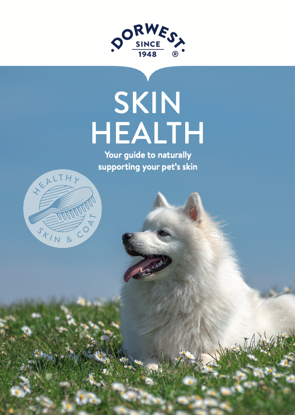 Skin Health Leaflet